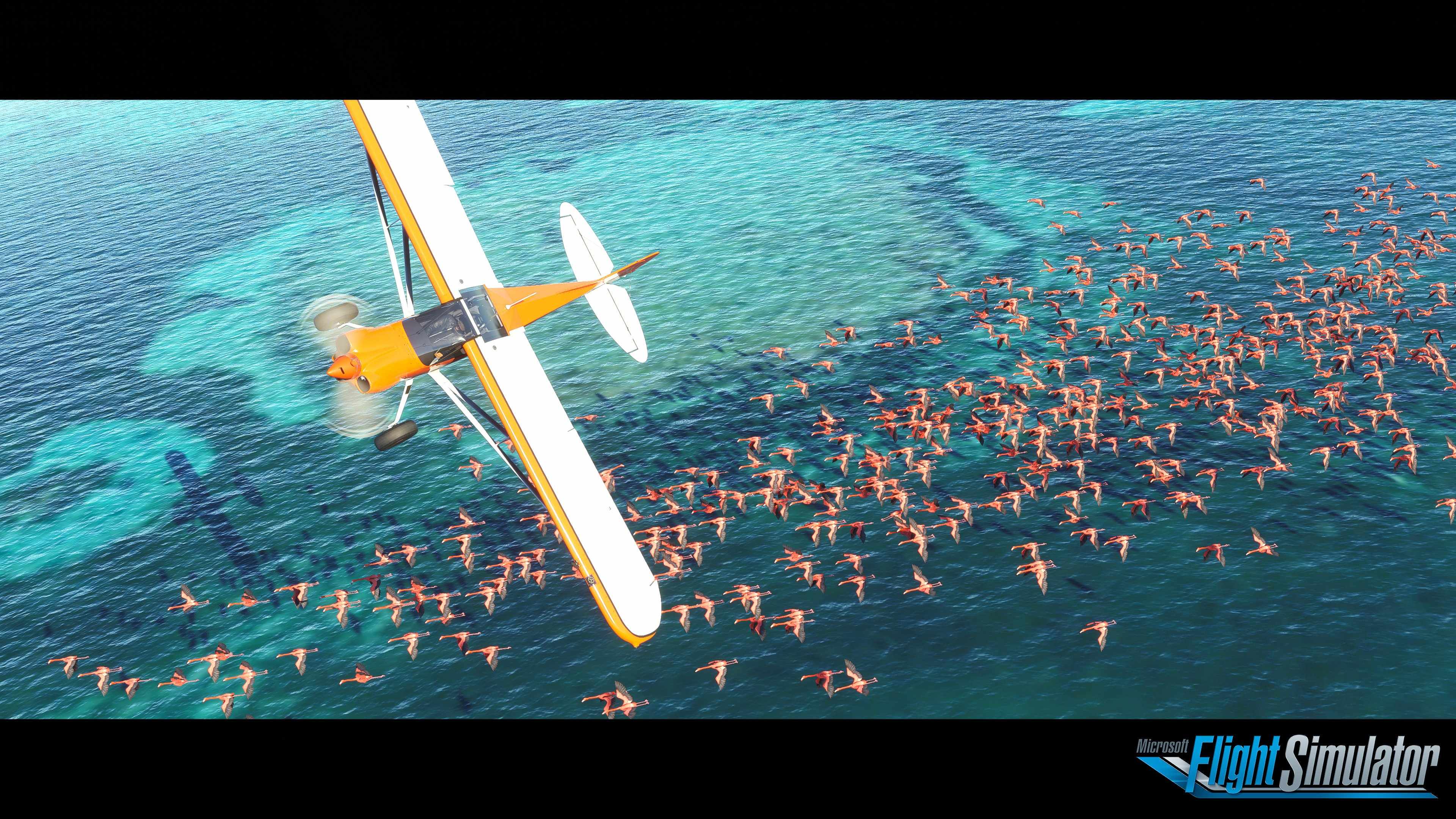 Microsoft Flight Simulator - Imagen 19